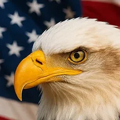 Demur 10ea599652fa2bcb5d58e18b6833f988 Cropped – Demur US